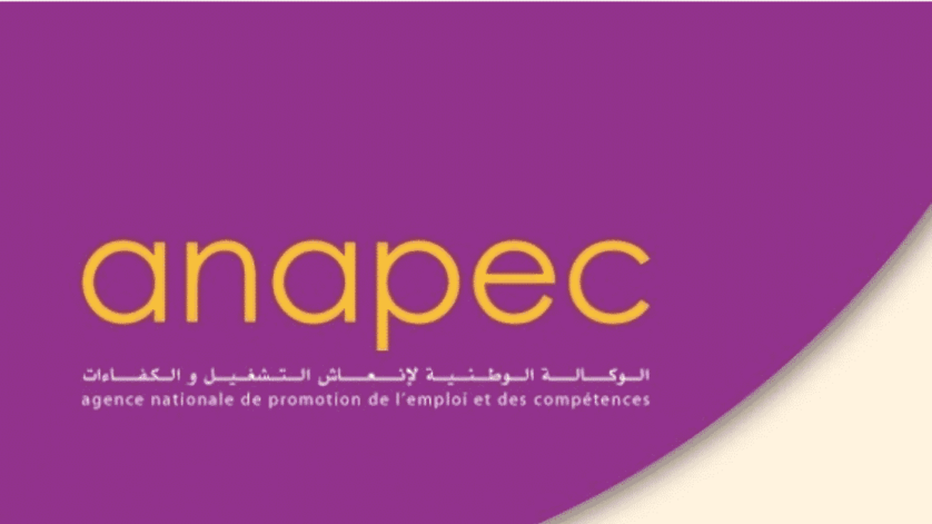 اعلانات العمل بالوكالة الوطنية لإنعاش التشغيل والكفاءات للأسبوع الثاني لشهر نونبر 2025