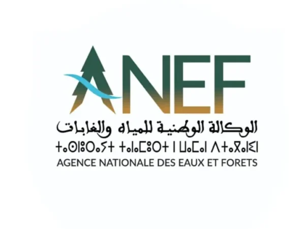 الوكالة الوطنية للمياه والغابات: مباريات توظيف 88 منصبا؛ آخر أجل هو 18 و24 نونبر 2025