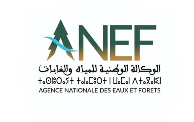 الوكالة الوطنية للمياه والغابات: مباريات توظيف 88 منصبا؛ آخر أجل هو 18 و24 نونبر 2025