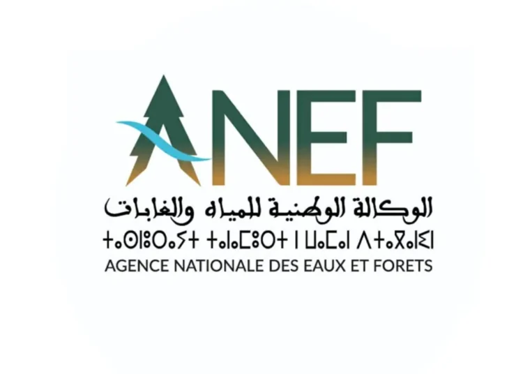 الوكالة الوطنية للمياه والغابات: مباريات توظيف 88 منصبا؛ آخر أجل هو 18 و24 نونبر 2025