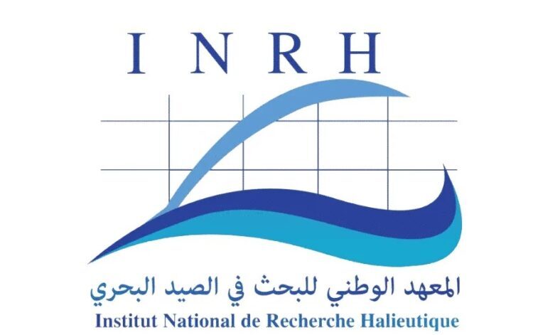 المعهد الوطني للبحث في الصيد البحري: مباريات توظيف 15 منصبا. آخر أجل 2 دجنبر 2025