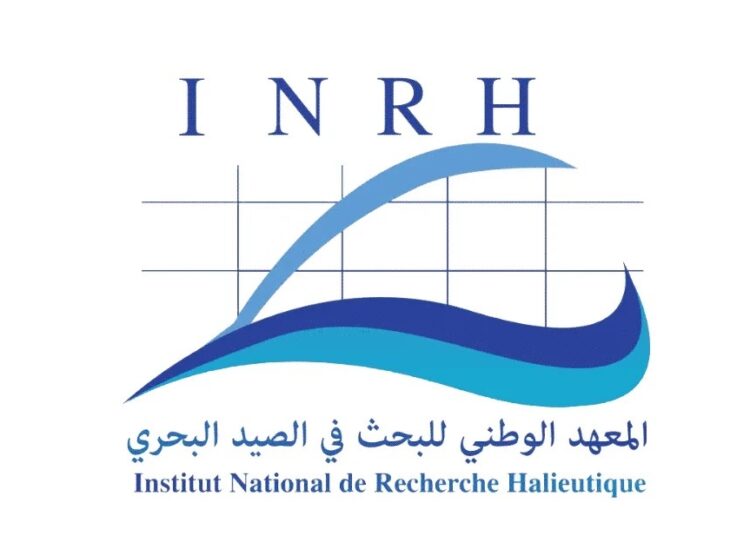 المعهد الوطني للبحث في الصيد البحري: مباريات توظيف 15 منصبا. آخر أجل 2 دجنبر 2025