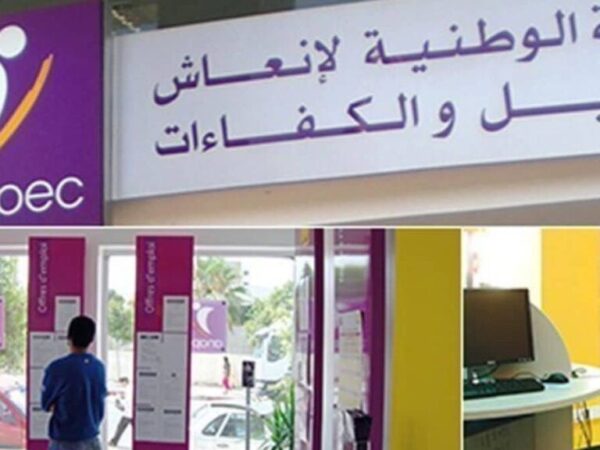 أنابيك مطلوب 4 محاسبين ومساعدين محاسبين بقطاع الماء والكهرباء