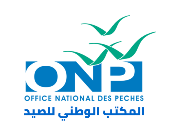 المكتب الوطني للصيد: مباراة توظيف 6 مناصب، آخر أجل هو 12 دجنبر 2025