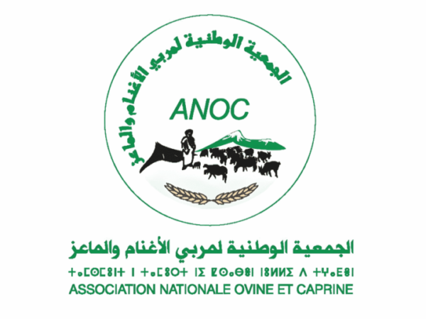 الجمعية الوطنية لمربي الأغنام والماعز: مباراة توظيف 3 أطر. آخر أجل 19 يناير 2026