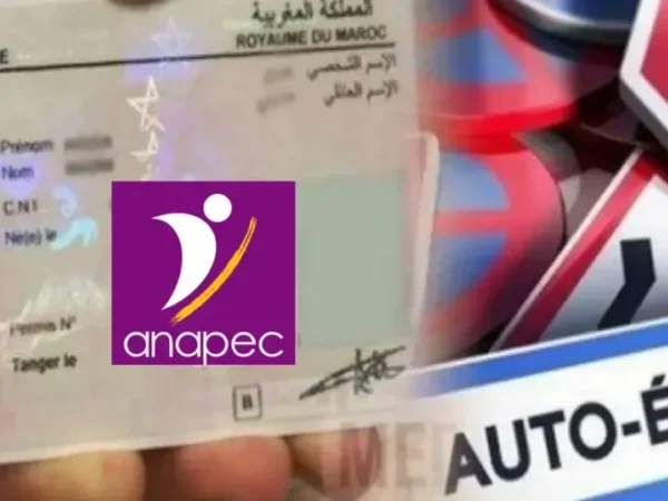 أنابيك: توظيف سائقين وموزعين بعدة مدن مغربية برخص سياقة B وC وEC