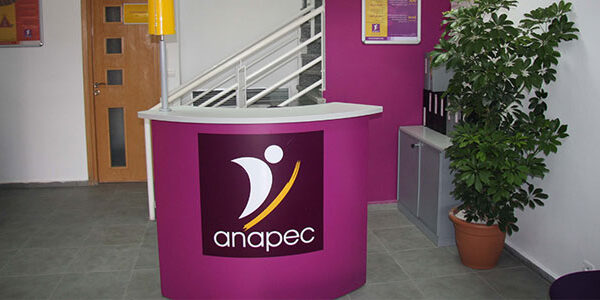 أنابيك: توظيف 140 باحث ميداني حاصلين باك+2 بعدة مدن مغربية